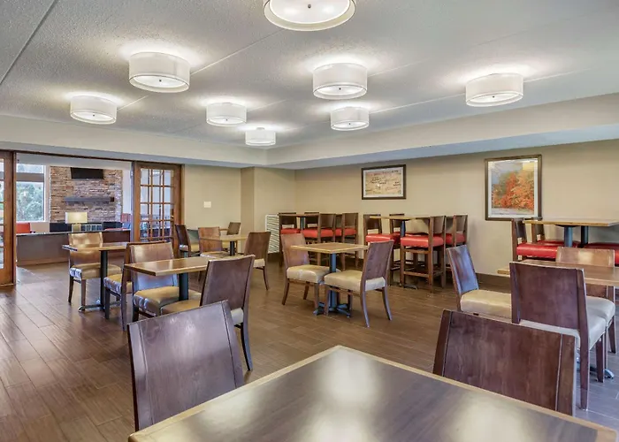 Comfort Inn Lansing West